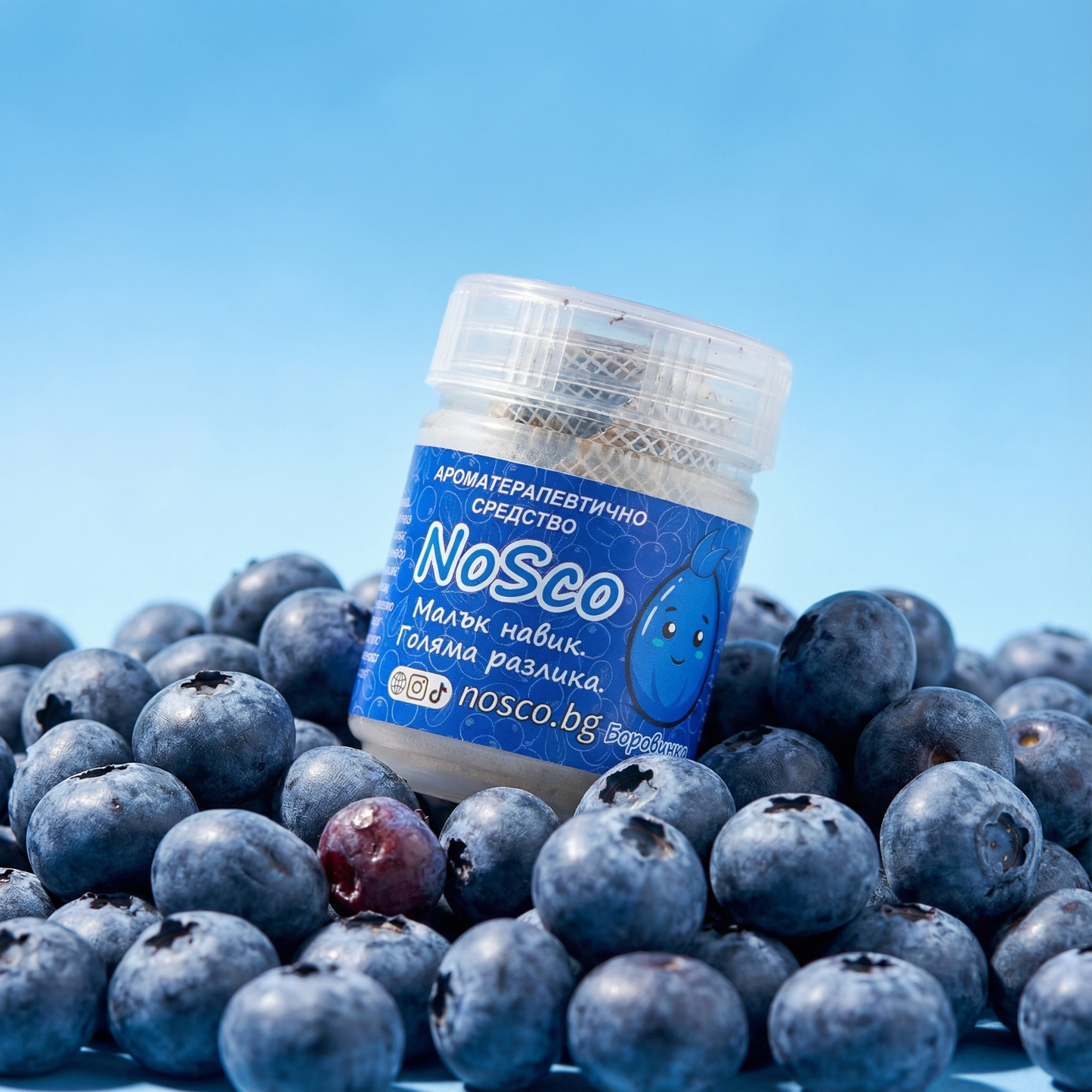 🫐💙 NoSco Боровинка