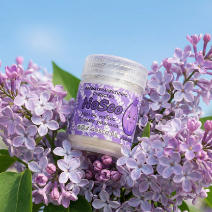 🌸💜 NoSco Люляк