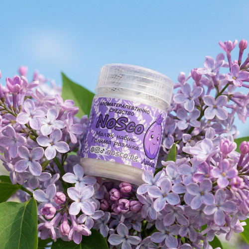 🌸💜 NoSco Люляк